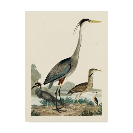 Alexander Wilson 'Heron Family I' Canvas Art,35x47